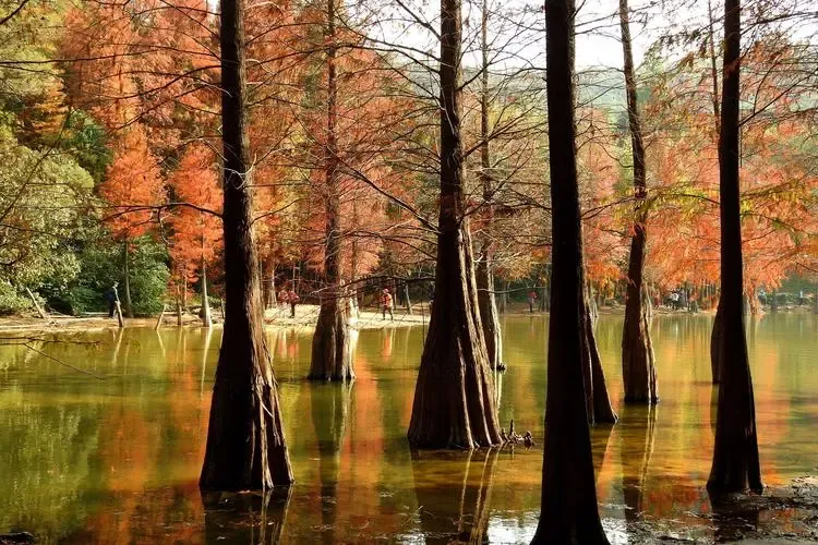 5.广州市白云区**白云山**景区 (季节推荐指数:★★★★☆)