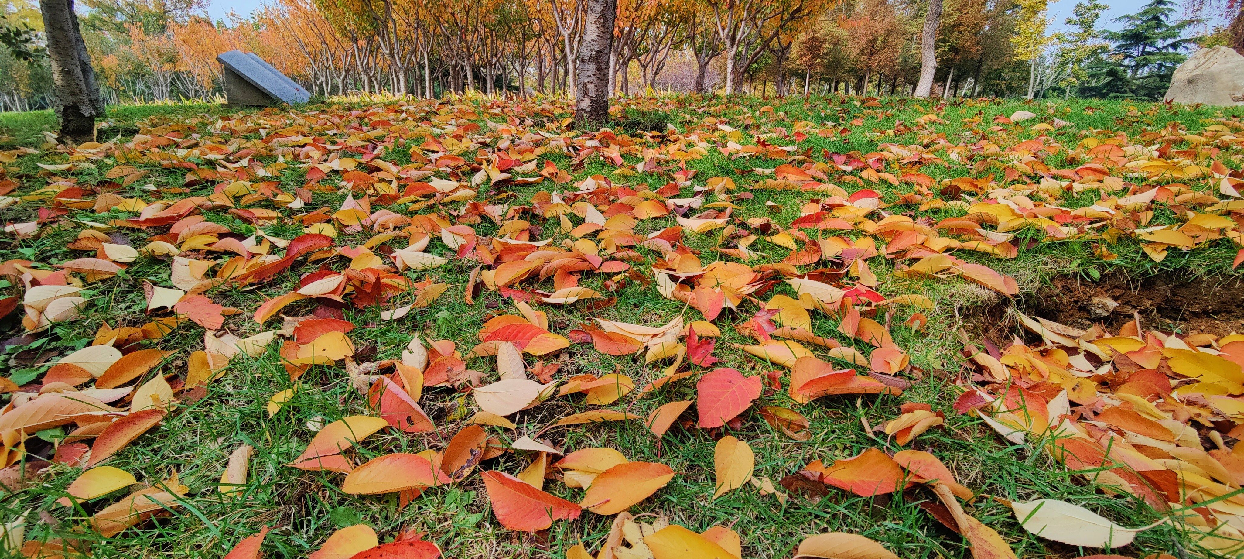 6.西双版纳**热带植物园** (季节推荐指数:★★★☆☆)